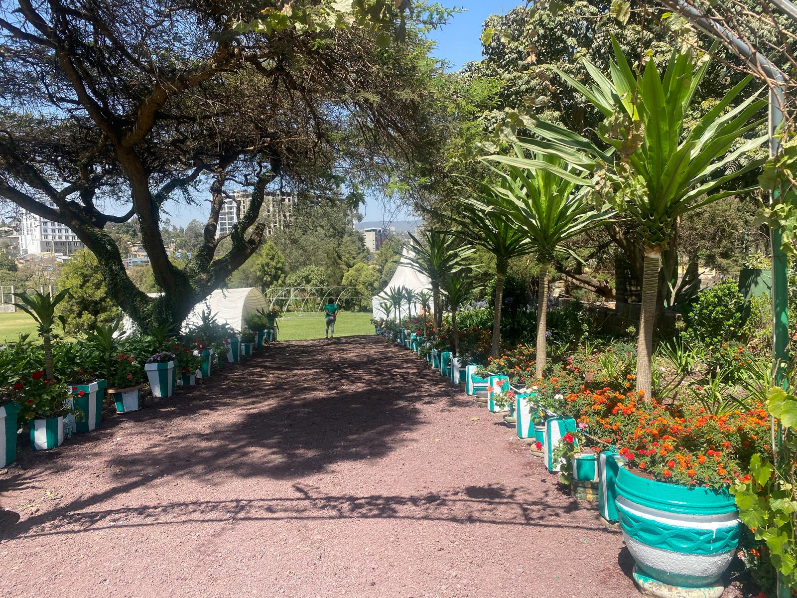 Side view of tennis court at Mekonenoch Club